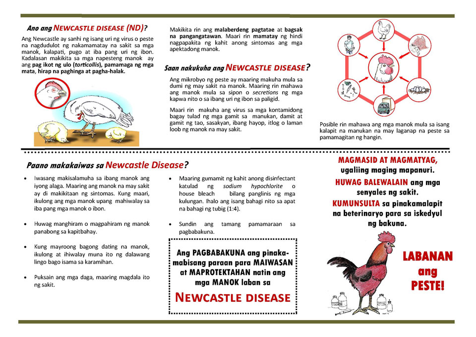 Download the NCD Prevention Flyer